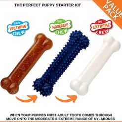 Nylabone - Jouet à Mâcher Puppy Starter Kit pour Chiots - S