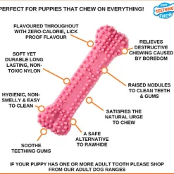 Nylabone - Jouet à Mâcher Puppy Dental Bone XS