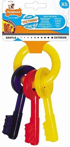 Nylabone - Jouet Clé Puppy Teething Chew pour Chien - XS