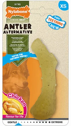 Nylabone - Jouet Os à Mâcher Puppy Teething au Poulet pour Chiots - XS