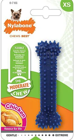 Nylabone - Jouet Os Dental Moderate Chew pour Chien
