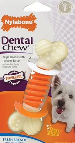 Nylabone - Jouet Os Dental Chew Pro-Action pour Chien