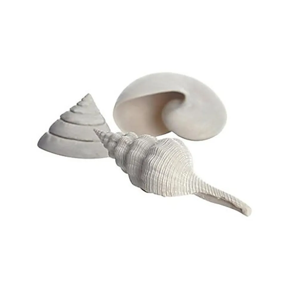 Oase - Lot de Décor Coquillages Blanc pour Aquarium BiOrb - x3