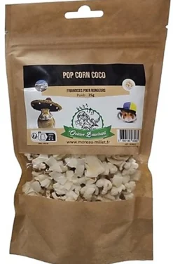 Octave Bauchant - Friandises Pop-corn Coco Rongeurs - 25g