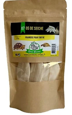 Octave Bauchant - Os de Seiche pour Tortue - x7