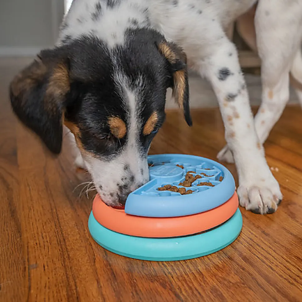 Outward Hound - Jeu de Réflexion Puppy Lickin' Layers