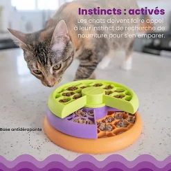 Outward Hound - Jeux Puzzle Kitty Lickin' Layers pour Chats