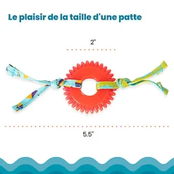 Outward Hound - Jouet à Mâcher Kitty Chew Wheel pour Chats