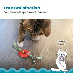 Outward Hound - Jouet à Mâcher Kitty Chew Wheel pour Chats