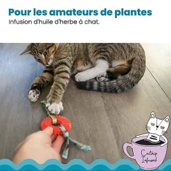 Outward Hound - Jouet à Mâcher Kitty Chew Wheel pour Chats