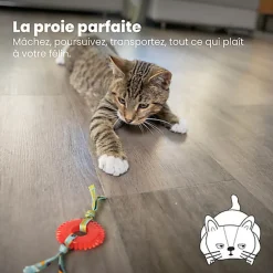 Outward Hound - Jouet à Mâcher Kitty Chew Wheel pour Chats