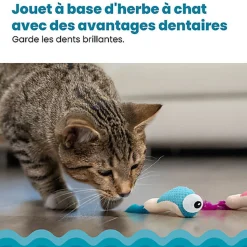 Outward Hound - Jouet à Mâcher Dental Shrimpies pour Chats - x2