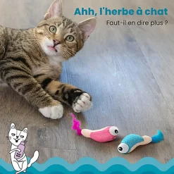 Outward Hound - Jouet à Mâcher Dental Shrimpies pour Chats - x2