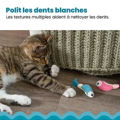 Outward Hound - Jouet à Mâcher Dental Shrimpies pour Chats - x2