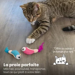 Outward Hound - Jouet à Mâcher Dental Shrimpies pour Chats - x2