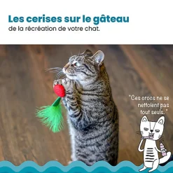 Outward Hound - Jouet à Mâcher Dental Cherries pour Chats