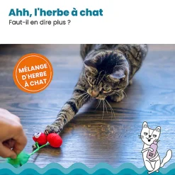 Outward Hound - Jouet à Mâcher Dental Cherries pour Chats