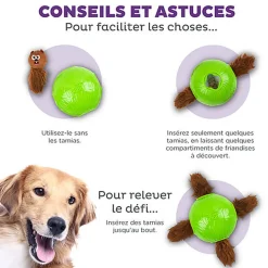 Outward Hound - Jouet Balle à Renifler Dog Snuffle N' Treat - 12,7cm
