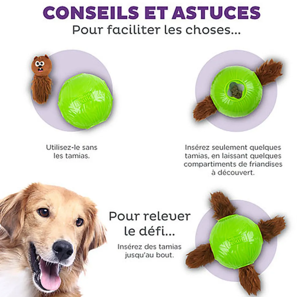 Outward Hound - Jouet Balle à Renifler Dog Snuffle N' Treat - 12,7cm