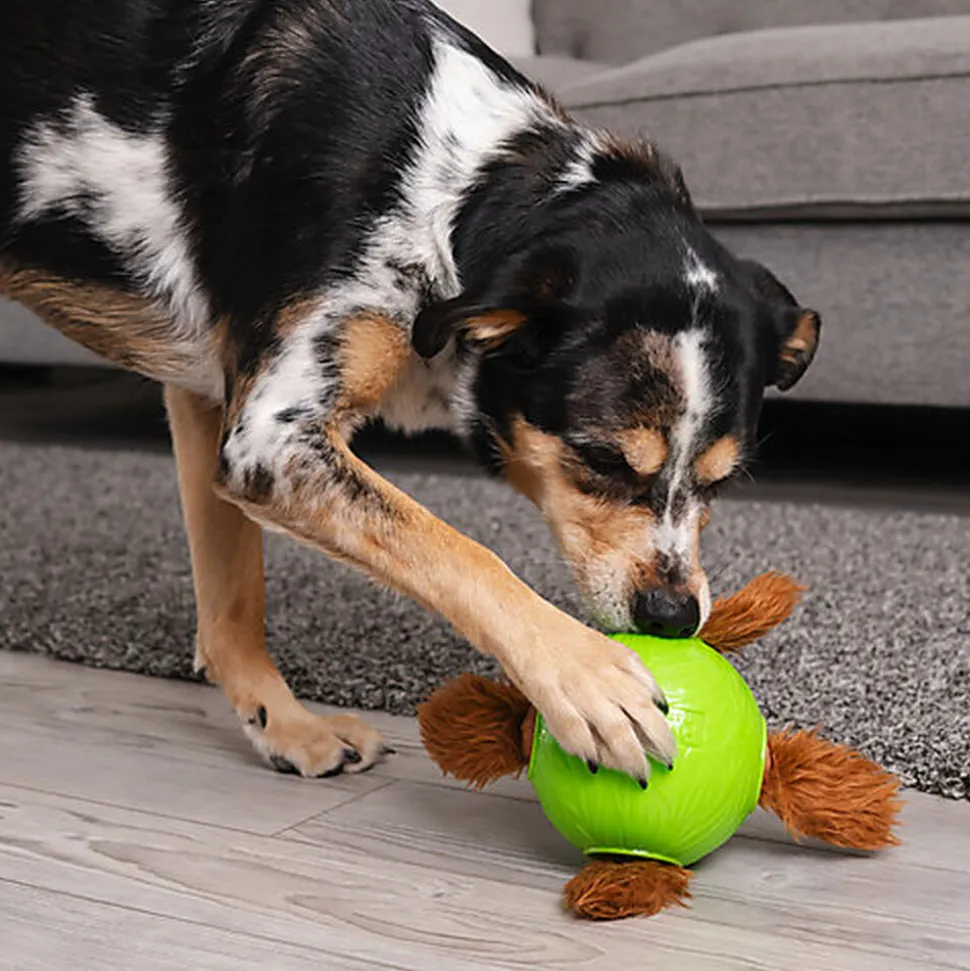 Outward Hound - Jouet Balle à Renifler Dog Snuffle N' Treat - 12,7cm