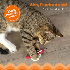 Outward Hound - Jouet Dynamite Green Magic pour Chats - Rouge