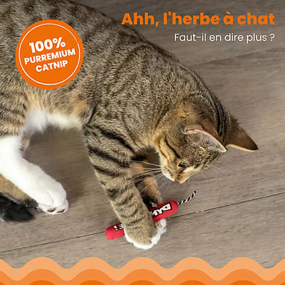 Outward Hound - Jouet Dynamite Green Magic pour Chats - Rouge