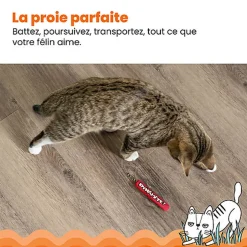 Outward Hound - Jouet Dynamite Green Magic pour Chats - Rouge