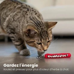 Outward Hound - Jouet Dynamite Green Magic pour Chats - Rouge