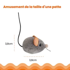 Outward Hound - Jouet Souris Squeak Mouse pour Chats - Gris