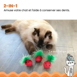 Outward Hound - Lot de 3 Jouets Straw-Babies pour Chats