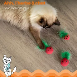 Outward Hound - Lot de 3 Jouets Straw-Babies pour Chats