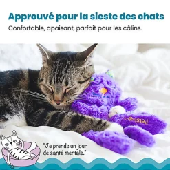 Outward Hound - Peluche Douillette Purr Pillow Kitty pour Chats - 30,5cm