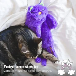 Outward Hound - Peluche Douillette Purr Pillow Kitty pour Chats - 30,5cm
