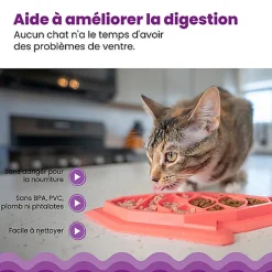 Outward Hound - Tapis d'Alimentation Fishie Fun Feed pour Chats - Rose