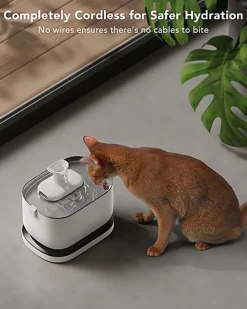 Petlibro - Fontaine à Eau Automatique - 2,5L