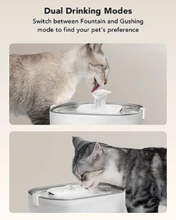 Petlibro - Fontaine à Eau avec Pompe sans Fil - 2,5L