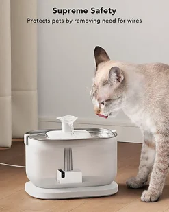 Petlibro - Fontaine à Eau avec Pompe sans Fil - 2,5L