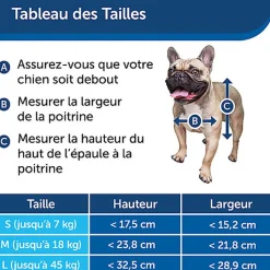 PetSafe - Chatière Porte 'Original' Small pour chiens et chats - Blanc