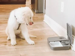 PetSafe - Distributeur Automatique 2 Repas pour Chien et Chat