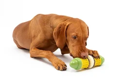 PetSafe - Jouet Epi Maïs Cravin Corncob pour Chiens - M/L