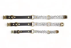 Pompon & Pets - Collier Duo Pongo pour Chiens