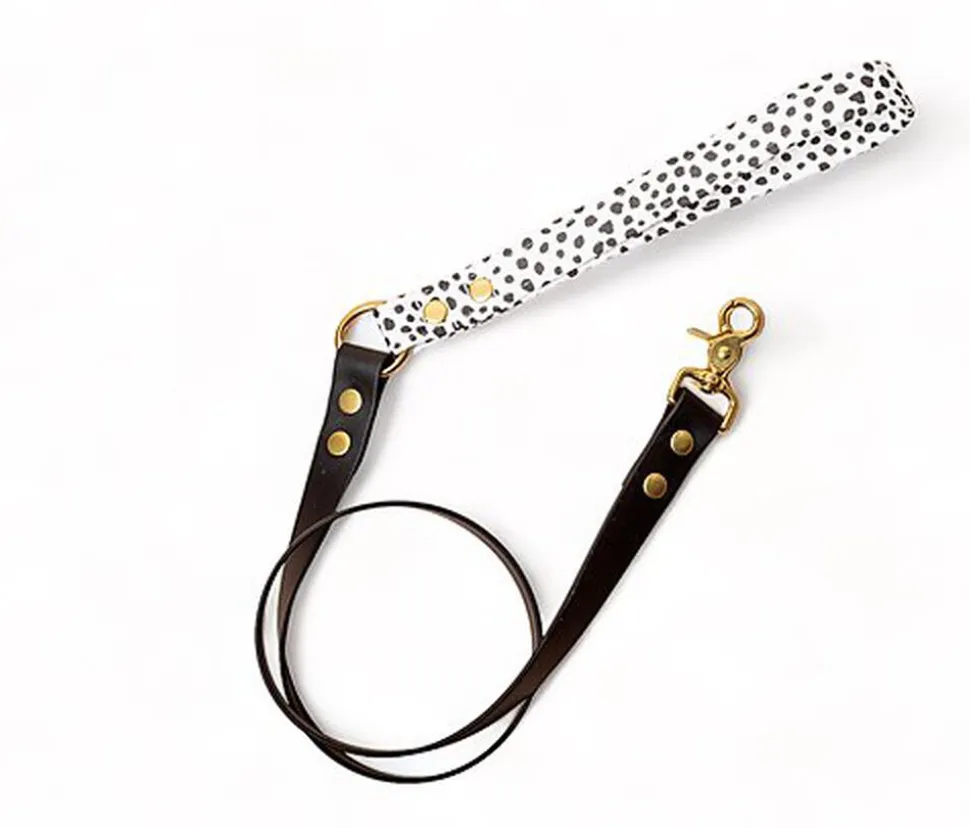 Pompon&Pets - Laisse Duo Pongo pour Chiens - 150cm