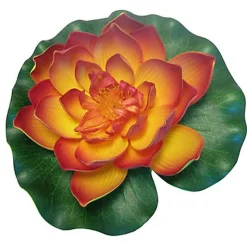 Pontec - Nénuphar PondoLily pour Bassin - Orange