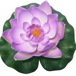 Pontec - Nénuphar PondoLily pour Bassin - Violet