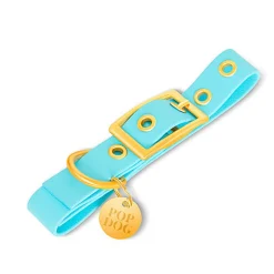 Pop Dog - Collier à ¼illet Dragueur Bleu pour Chien