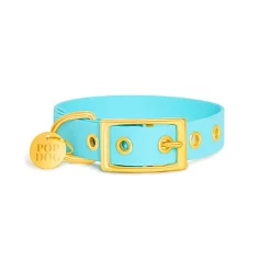 Pop Dog - Collier à ¼illet Dragueur Bleu pour Chien