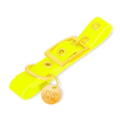 Pop Dog - Collier à ¼illet Joyeux Jaune pour Chien
