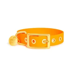 Pop Dog - Collier à ¼illet Pitchoune Orange pour Chien
