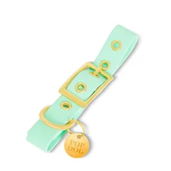 Pop Dog - Collier à ¼illet Swimmy Vert pour Chien