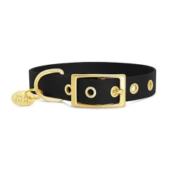 Pop Dog - Collier Badass à œillets Noir pour Chiens - M